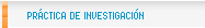 Prctica de Investigacin